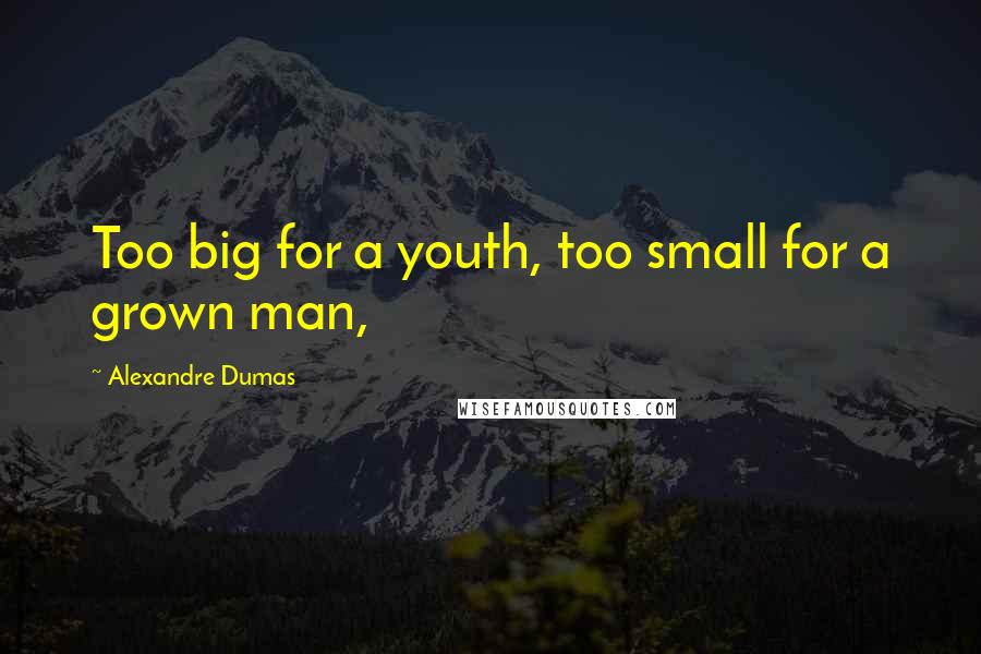 Alexandre Dumas Quotes: Too big for a youth, too small for a grown man,