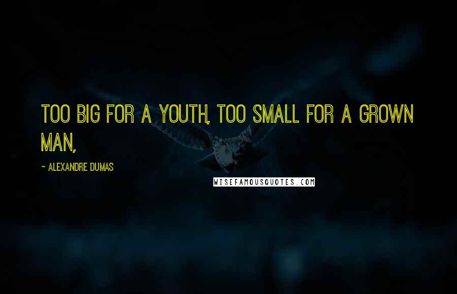 Alexandre Dumas Quotes: Too big for a youth, too small for a grown man,