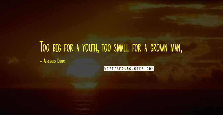 Alexandre Dumas Quotes: Too big for a youth, too small for a grown man,