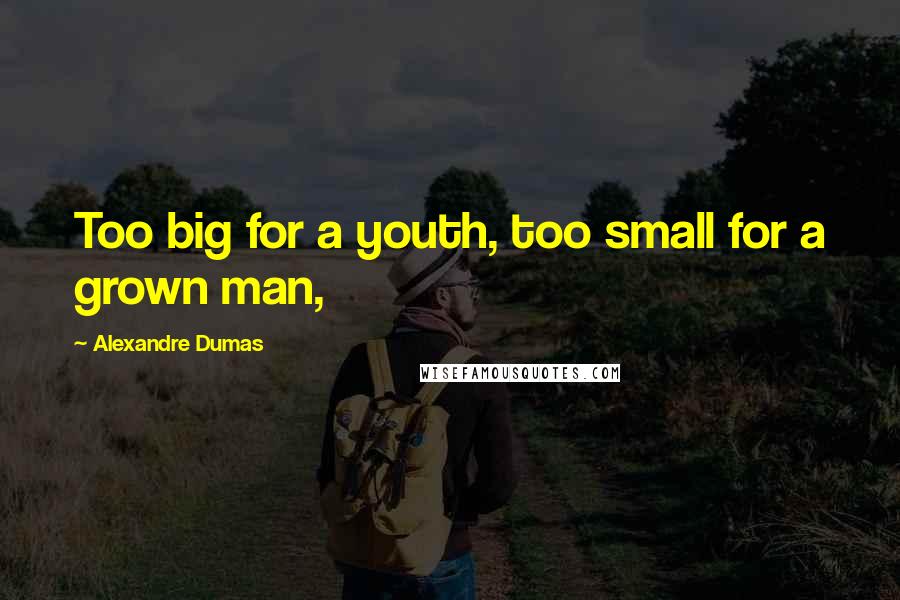Alexandre Dumas Quotes: Too big for a youth, too small for a grown man,