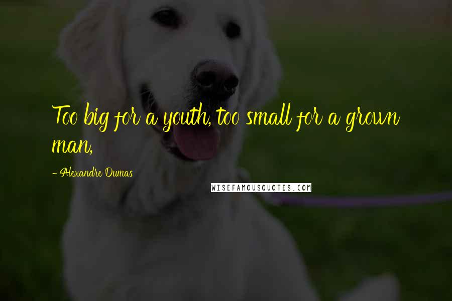 Alexandre Dumas Quotes: Too big for a youth, too small for a grown man,