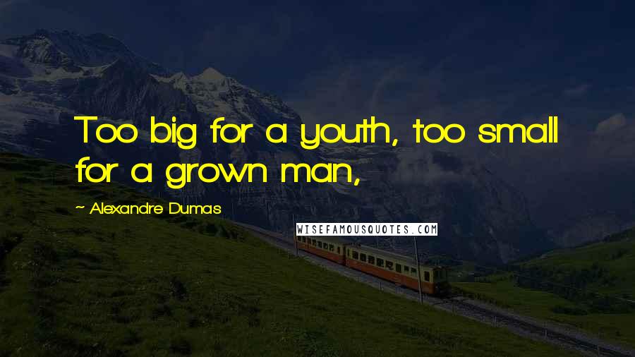 Alexandre Dumas Quotes: Too big for a youth, too small for a grown man,