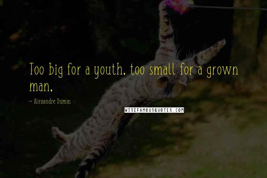 Alexandre Dumas Quotes: Too big for a youth, too small for a grown man,