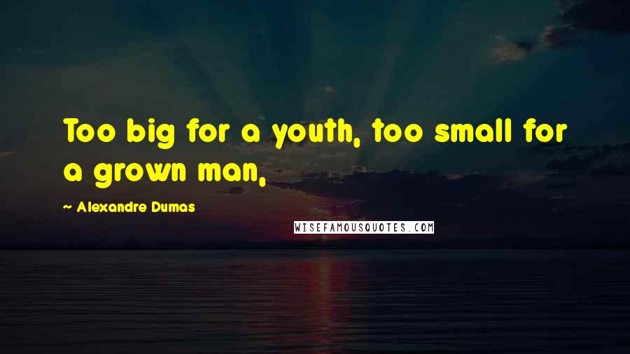 Alexandre Dumas Quotes: Too big for a youth, too small for a grown man,