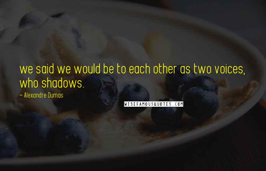 Alexandre Dumas Quotes: we said we would be to each other as two voices, who shadows.
