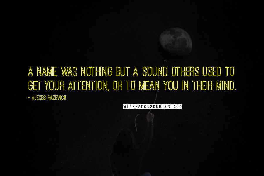 Alexes Razevich Quotes: A name was nothing but a sound others used to get your attention, or to mean you in their mind.