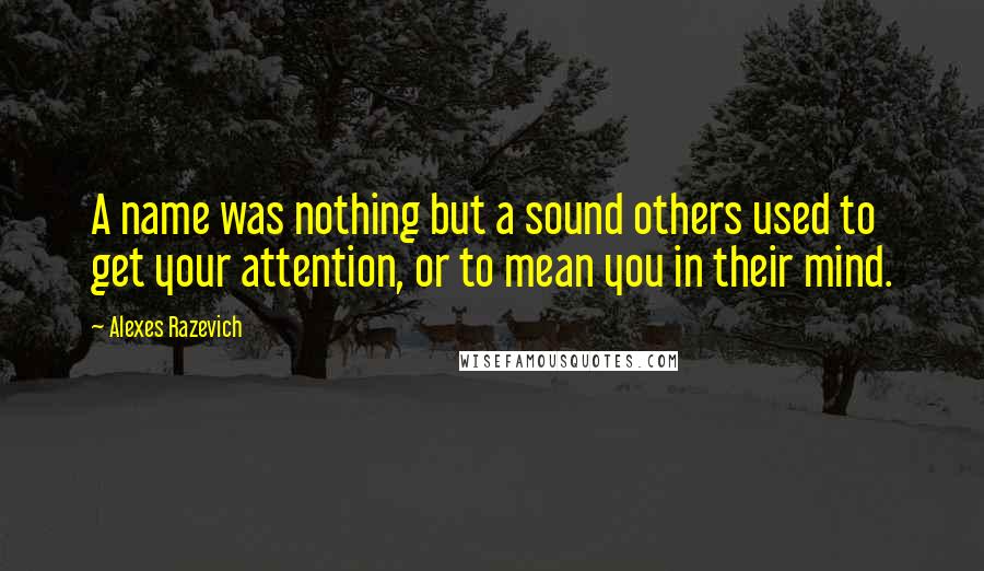 Alexes Razevich Quotes: A name was nothing but a sound others used to get your attention, or to mean you in their mind.