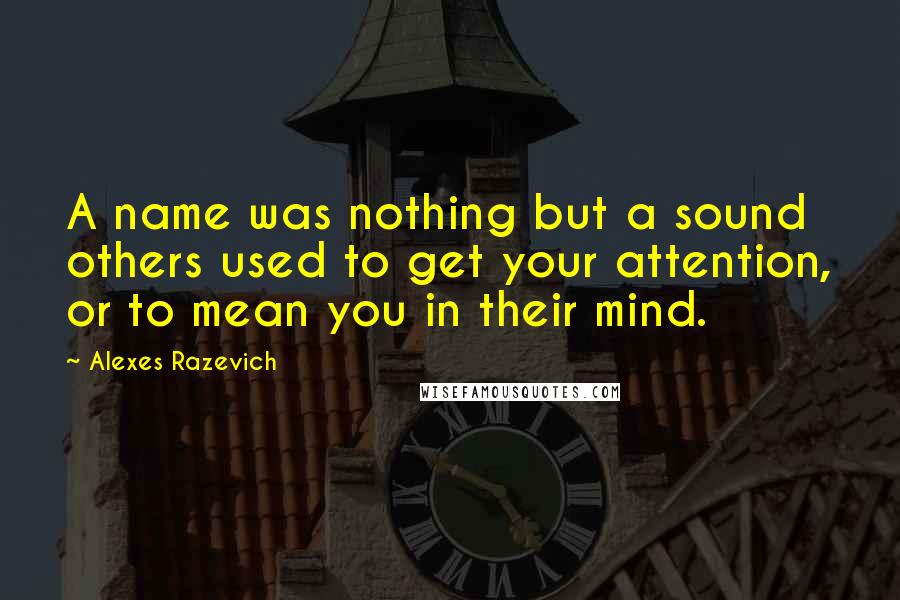 Alexes Razevich Quotes: A name was nothing but a sound others used to get your attention, or to mean you in their mind.