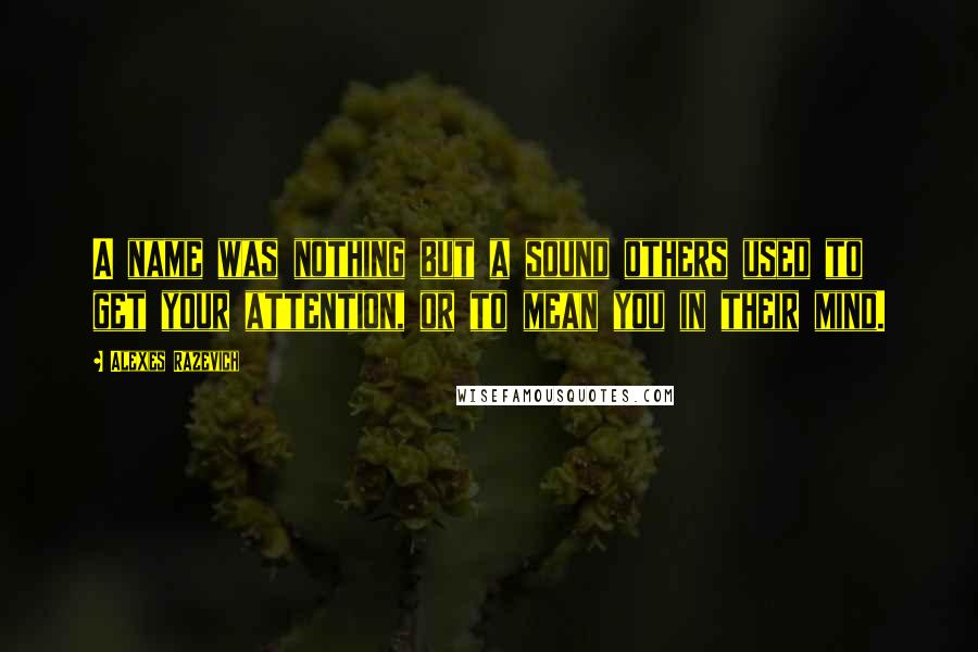 Alexes Razevich Quotes: A name was nothing but a sound others used to get your attention, or to mean you in their mind.