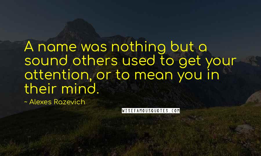 Alexes Razevich Quotes: A name was nothing but a sound others used to get your attention, or to mean you in their mind.
