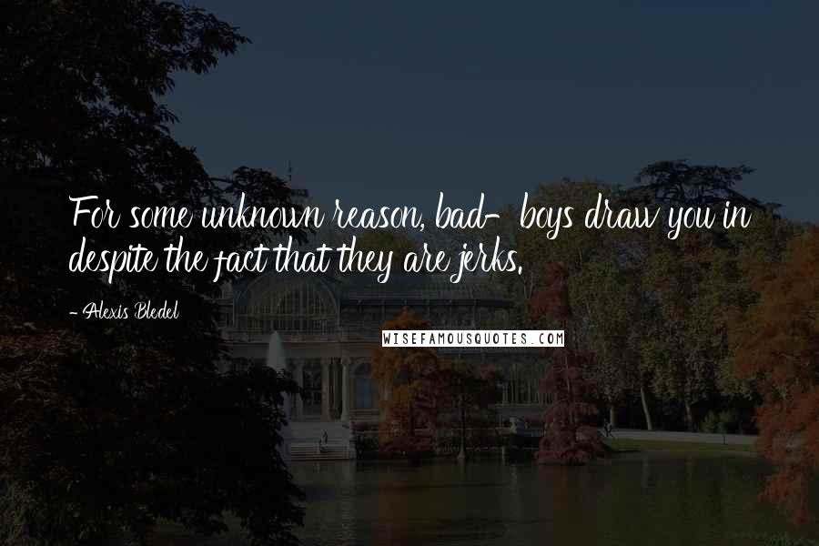 Alexis Bledel Quotes: For some unknown reason, bad-boys draw you in despite the fact that they are jerks.