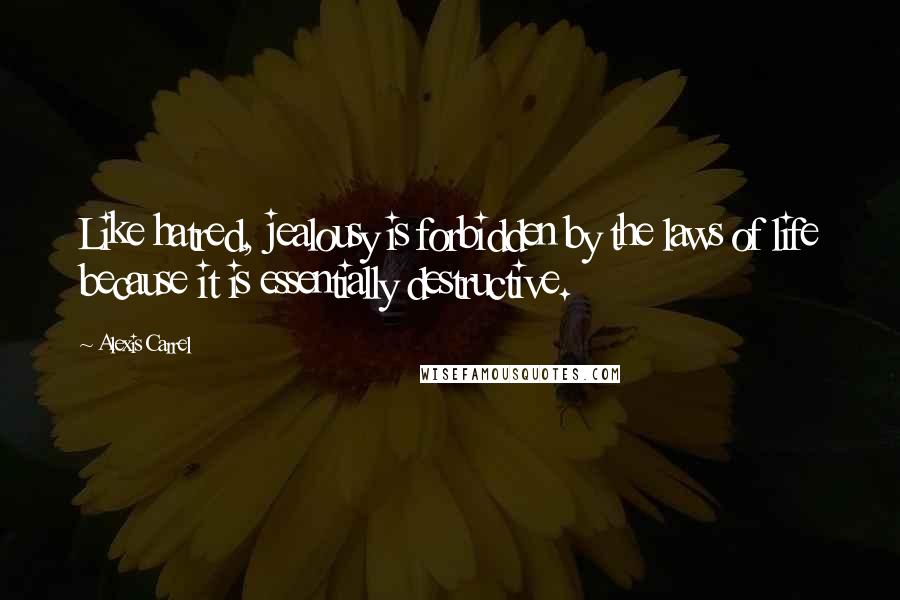 Alexis Carrel Quotes: Like hatred, jealousy is forbidden by the laws of life because it is essentially destructive.