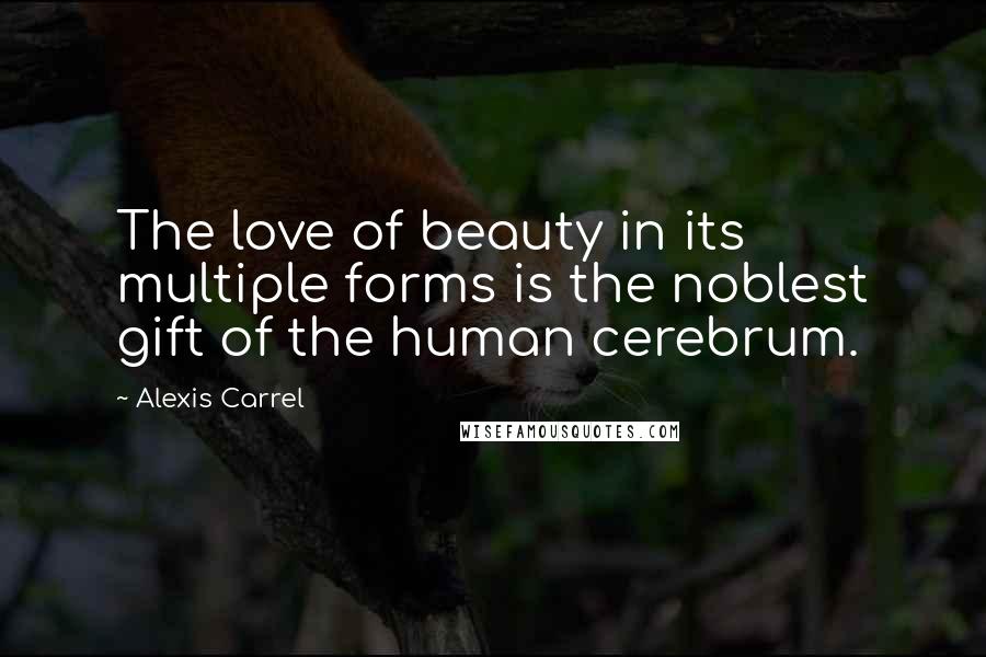 Alexis Carrel Quotes: The love of beauty in its multiple forms is the noblest gift of the human cerebrum.