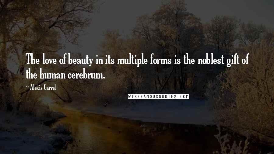 Alexis Carrel Quotes: The love of beauty in its multiple forms is the noblest gift of the human cerebrum.