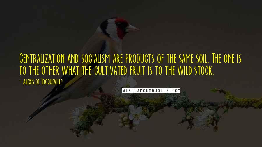 Alexis De Tocqueville Quotes: Centralization and socialism are products of the same soil. The one is to the other what the cultivated fruit is to the wild stock.