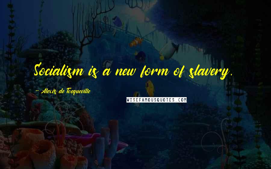 Alexis De Tocqueville Quotes: Socialism is a new form of slavery.
