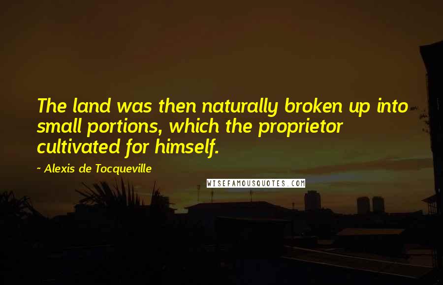 Alexis De Tocqueville Quotes: The land was then naturally broken up into small portions, which the proprietor cultivated for himself.