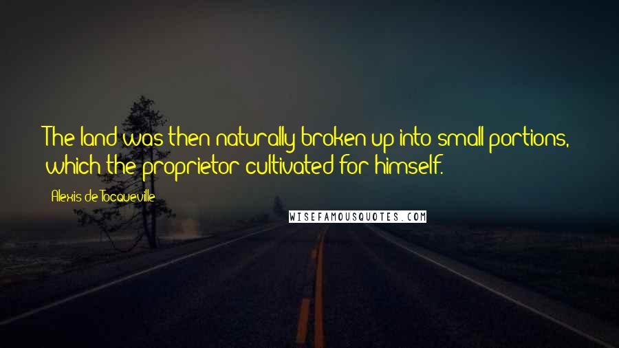 Alexis De Tocqueville Quotes: The land was then naturally broken up into small portions, which the proprietor cultivated for himself.