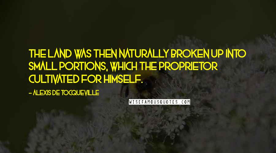 Alexis De Tocqueville Quotes: The land was then naturally broken up into small portions, which the proprietor cultivated for himself.