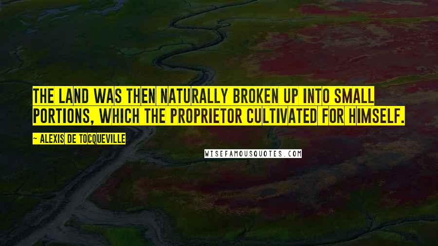 Alexis De Tocqueville Quotes: The land was then naturally broken up into small portions, which the proprietor cultivated for himself.