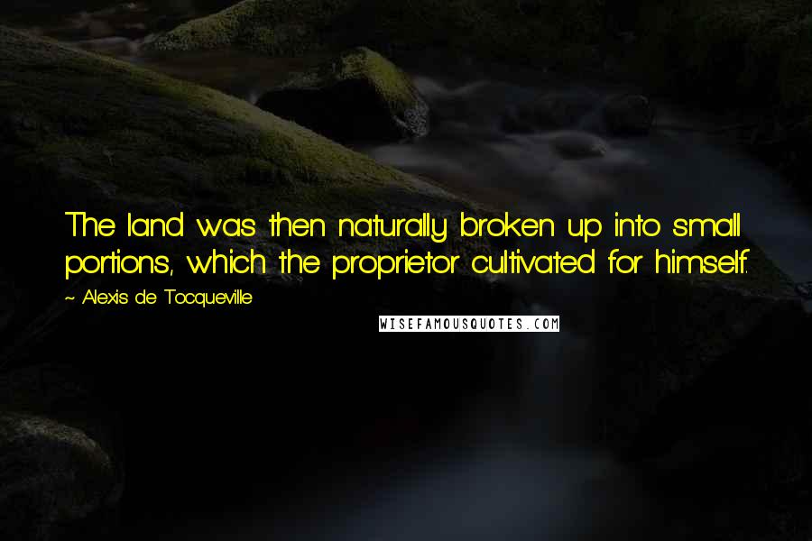 Alexis De Tocqueville Quotes: The land was then naturally broken up into small portions, which the proprietor cultivated for himself.