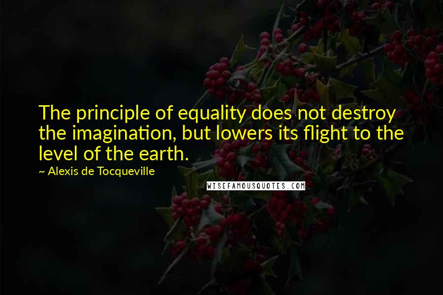 Alexis De Tocqueville Quotes: The principle of equality does not destroy the imagination, but lowers its flight to the level of the earth.