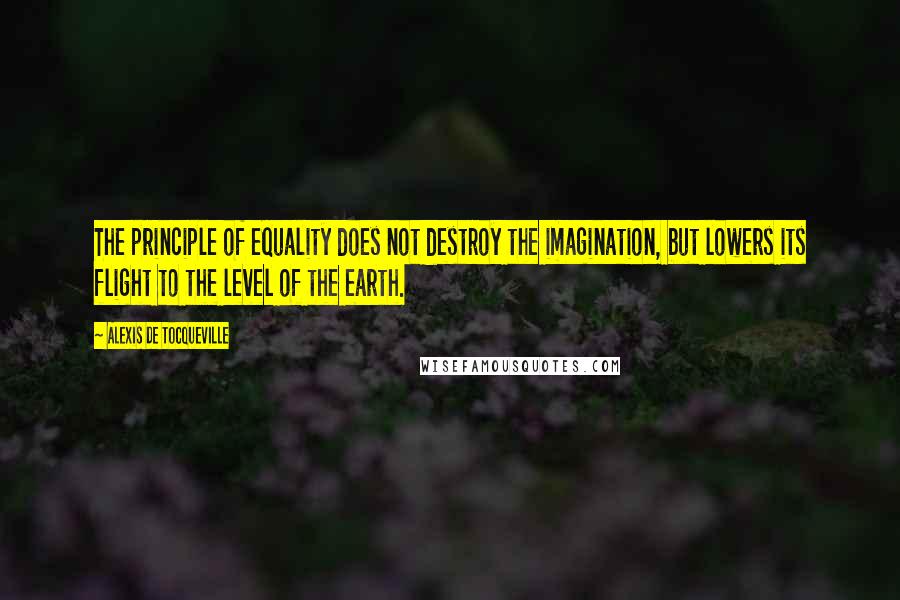 Alexis De Tocqueville Quotes: The principle of equality does not destroy the imagination, but lowers its flight to the level of the earth.