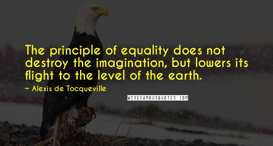 Alexis De Tocqueville Quotes: The principle of equality does not destroy the imagination, but lowers its flight to the level of the earth.