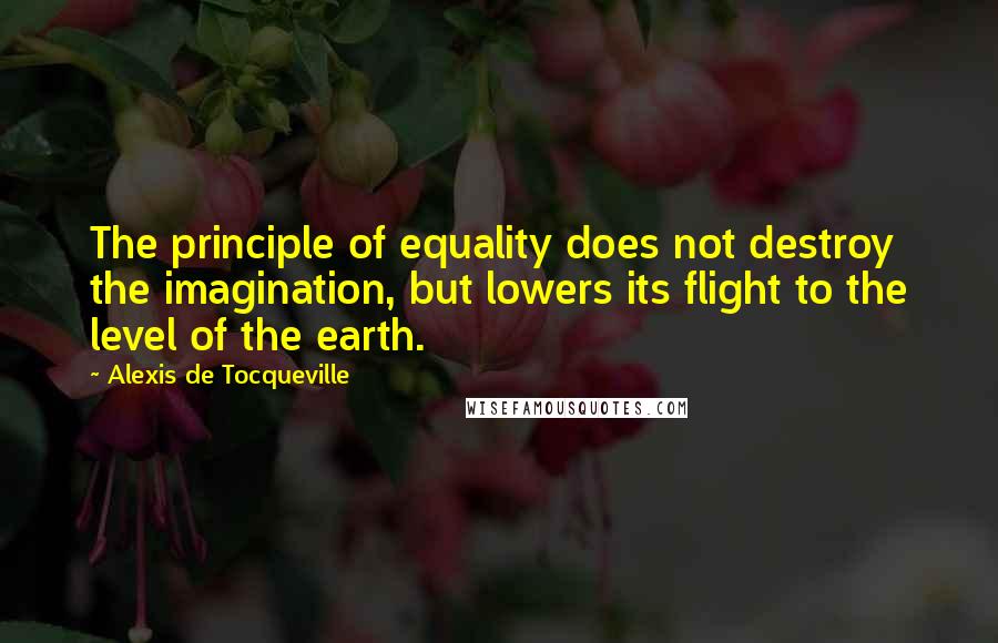 Alexis De Tocqueville Quotes: The principle of equality does not destroy the imagination, but lowers its flight to the level of the earth.