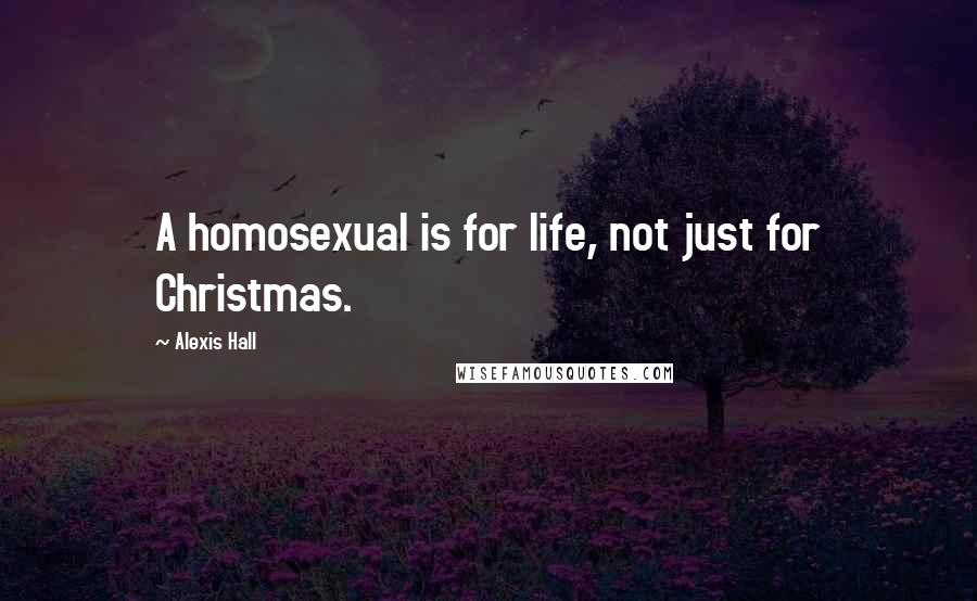 Alexis Hall Quotes: A homosexual is for life, not just for Christmas.