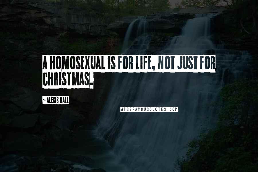 Alexis Hall Quotes: A homosexual is for life, not just for Christmas.