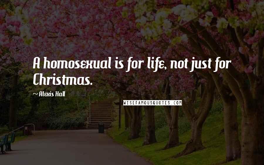 Alexis Hall Quotes: A homosexual is for life, not just for Christmas.