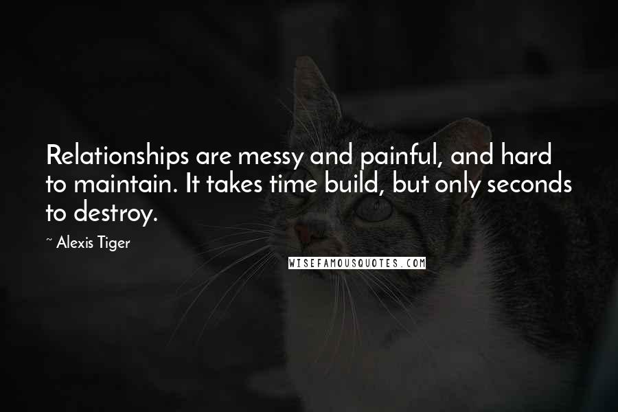 Alexis Tiger Quotes: Relationships are messy and painful, and hard to maintain. It takes time build, but only seconds to destroy.