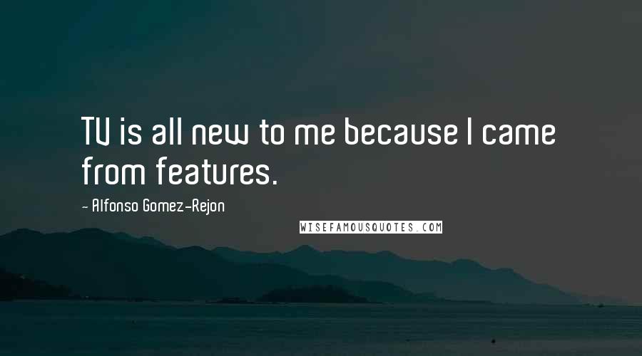 Alfonso Gomez-Rejon Quotes: TV is all new to me because I came from features.