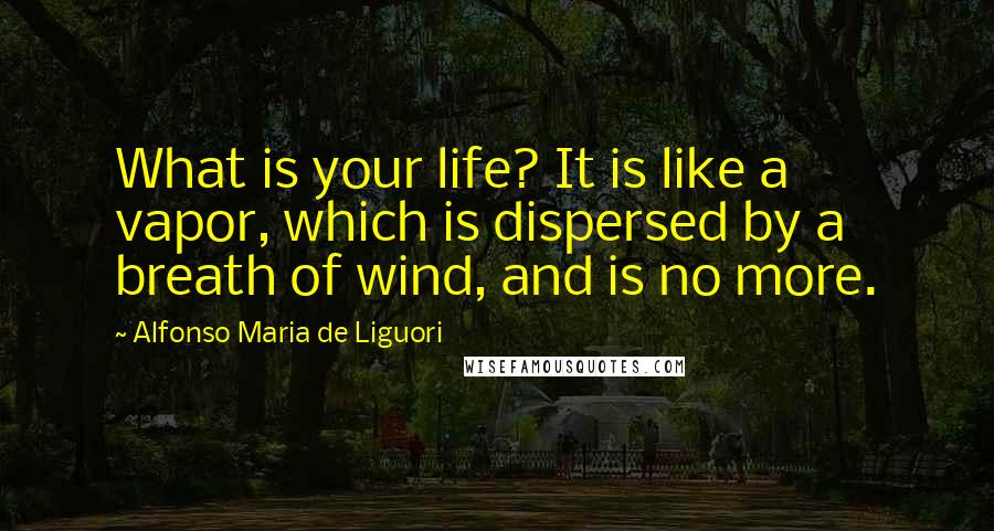 Alfonso Maria De Liguori Quotes: What is your life? It is like a vapor, which is dispersed by a breath of wind, and is no more.