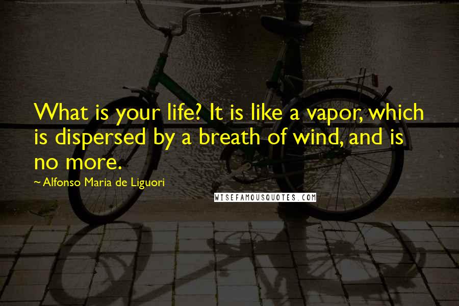 Alfonso Maria De Liguori Quotes: What is your life? It is like a vapor, which is dispersed by a breath of wind, and is no more.