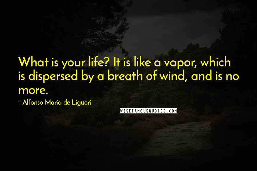 Alfonso Maria De Liguori Quotes: What is your life? It is like a vapor, which is dispersed by a breath of wind, and is no more.