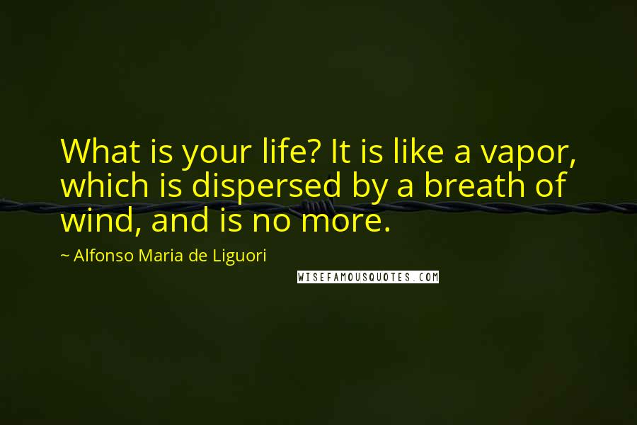 Alfonso Maria De Liguori Quotes: What is your life? It is like a vapor, which is dispersed by a breath of wind, and is no more.