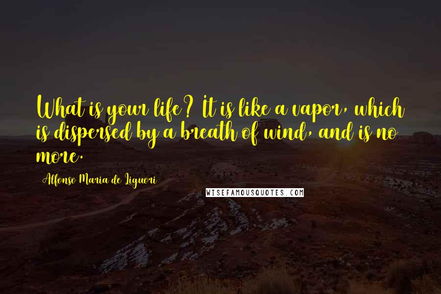 Alfonso Maria De Liguori Quotes: What is your life? It is like a vapor, which is dispersed by a breath of wind, and is no more.