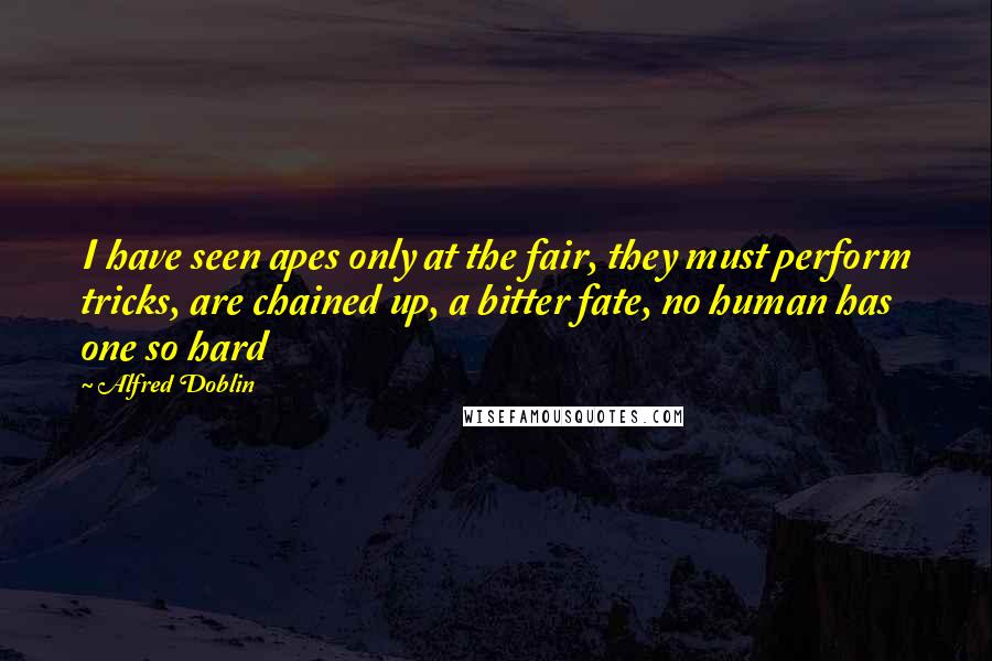 Alfred Doblin Quotes: I have seen apes only at the fair, they must perform tricks, are chained up, a bitter fate, no human has one so hard