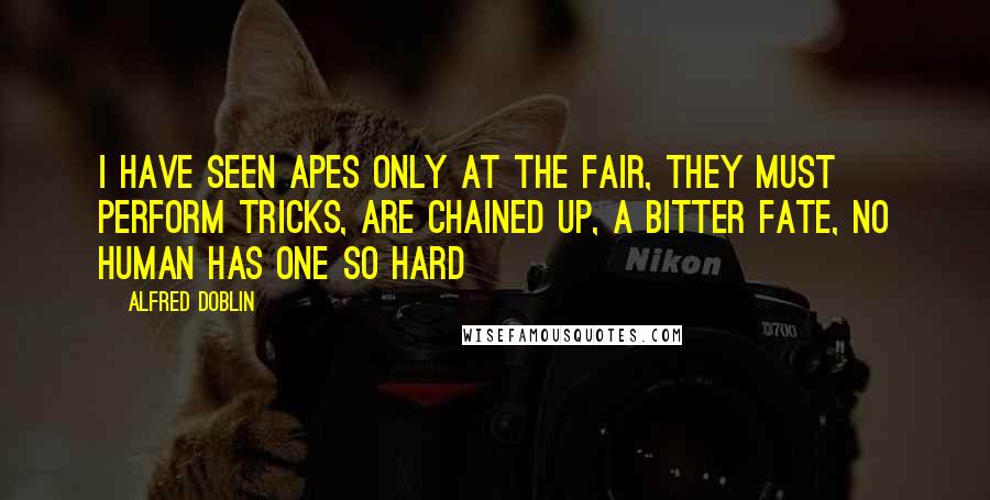 Alfred Doblin Quotes: I have seen apes only at the fair, they must perform tricks, are chained up, a bitter fate, no human has one so hard