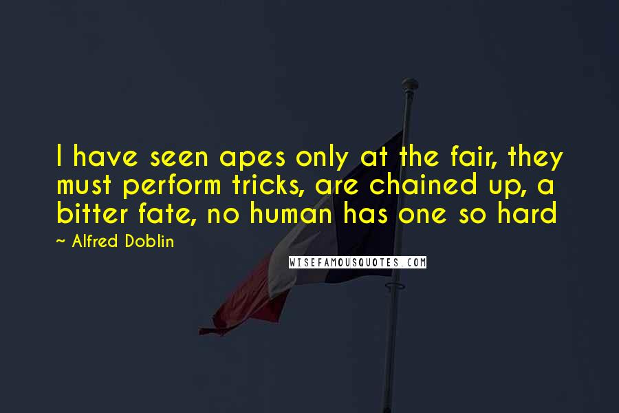 Alfred Doblin Quotes: I have seen apes only at the fair, they must perform tricks, are chained up, a bitter fate, no human has one so hard