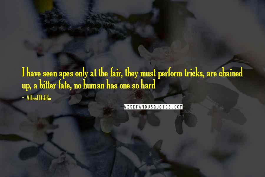 Alfred Doblin Quotes: I have seen apes only at the fair, they must perform tricks, are chained up, a bitter fate, no human has one so hard