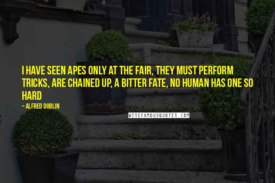 Alfred Doblin Quotes: I have seen apes only at the fair, they must perform tricks, are chained up, a bitter fate, no human has one so hard