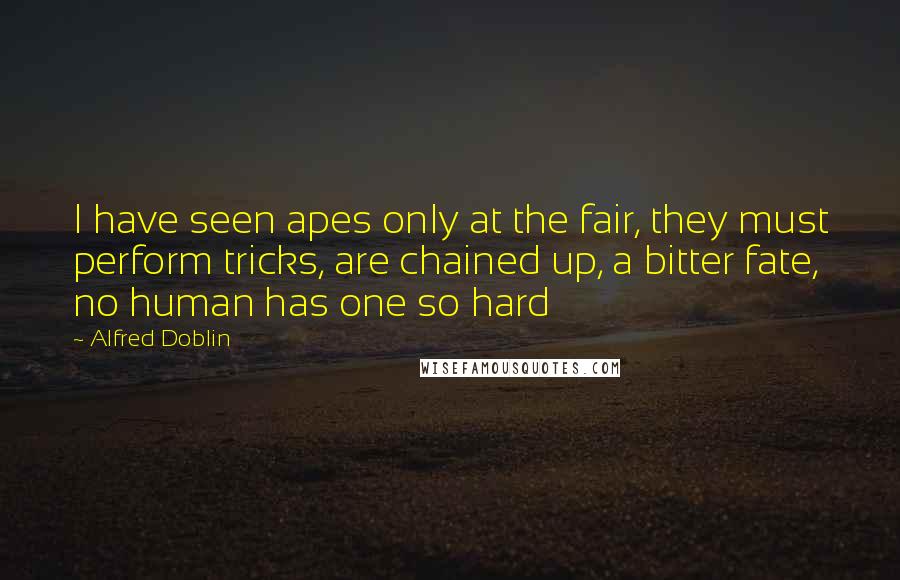 Alfred Doblin Quotes: I have seen apes only at the fair, they must perform tricks, are chained up, a bitter fate, no human has one so hard