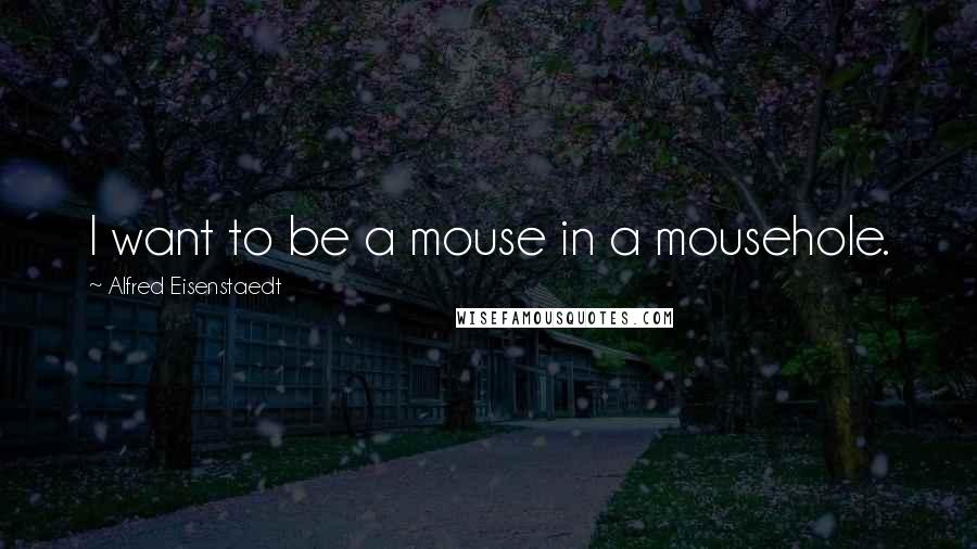 Alfred Eisenstaedt Quotes: I want to be a mouse in a mousehole.