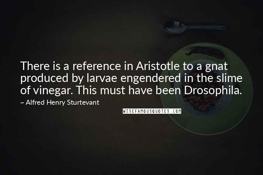 Alfred Henry Sturtevant Quotes: There is a reference in Aristotle to a gnat produced by larvae engendered in the slime of vinegar. This must have been Drosophila.