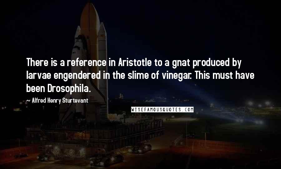 Alfred Henry Sturtevant Quotes: There is a reference in Aristotle to a gnat produced by larvae engendered in the slime of vinegar. This must have been Drosophila.