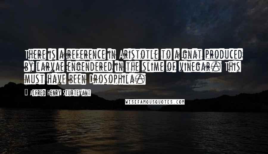 Alfred Henry Sturtevant Quotes: There is a reference in Aristotle to a gnat produced by larvae engendered in the slime of vinegar. This must have been Drosophila.
