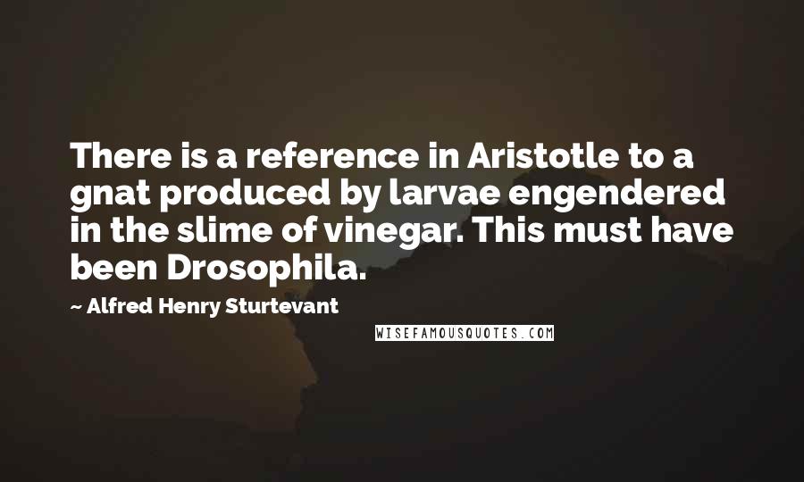 Alfred Henry Sturtevant Quotes: There is a reference in Aristotle to a gnat produced by larvae engendered in the slime of vinegar. This must have been Drosophila.